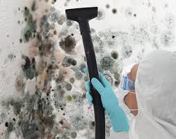 Mold Odor Removal Services in Fort Myers Shores, FL